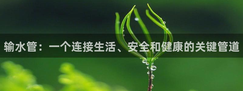 天辰娱乐好吗