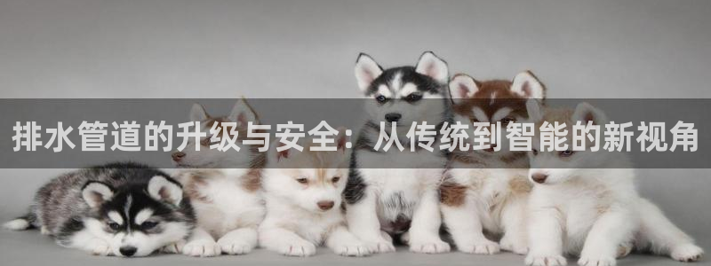 天辰娱乐平台登录账号