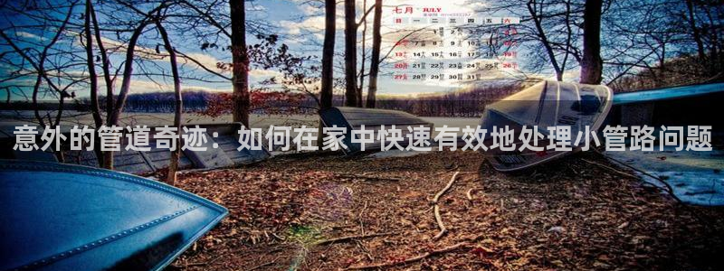 天辰娱乐51137