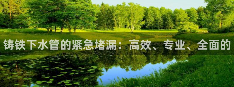 天辰娱乐黑人