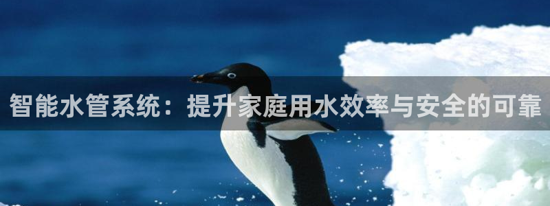 天辰国际娱乐