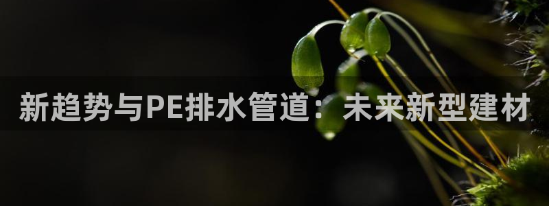天辰娱乐best