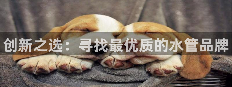 天辰娱乐文化