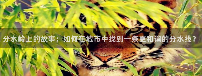 天辰娱乐指定