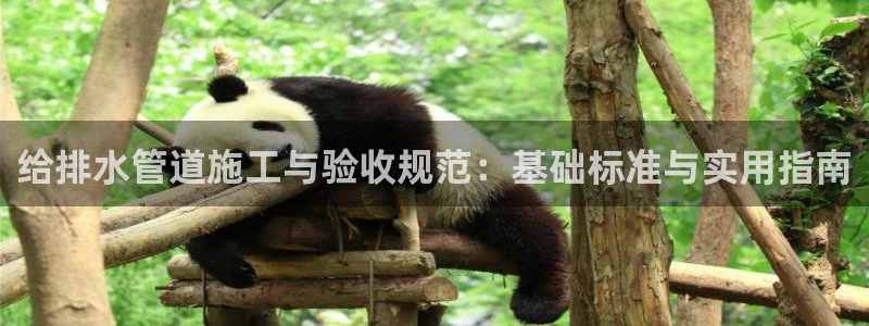 天辰娱乐上级