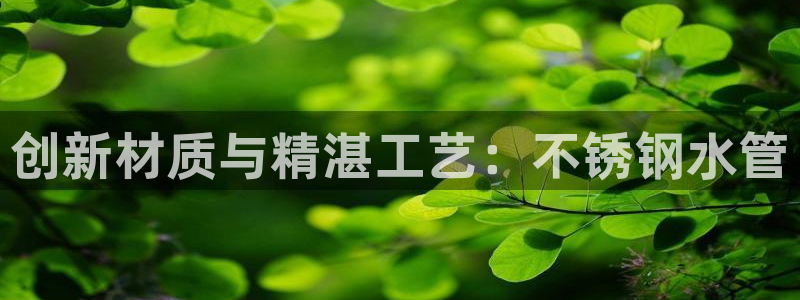 天辰娱乐天辰宝