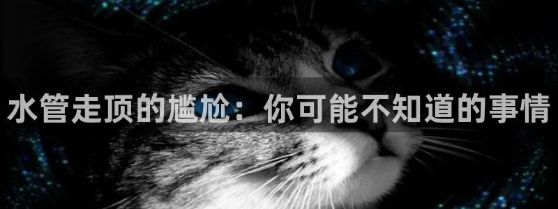 天辰娱乐台湾