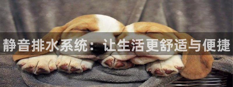 天辰娱乐彩票