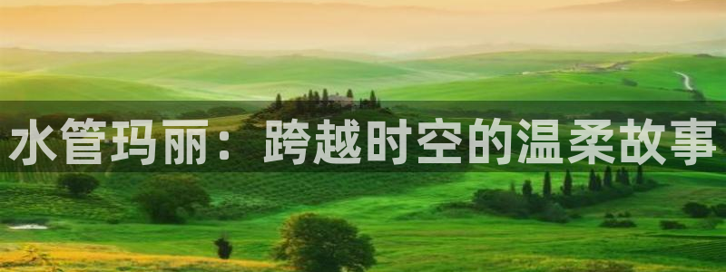天辰娱乐51137