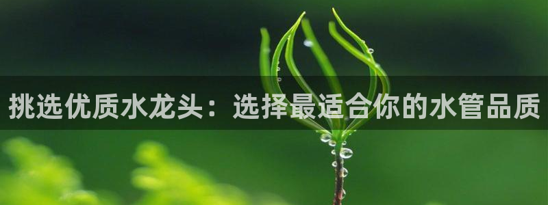 天辰宝娱乐