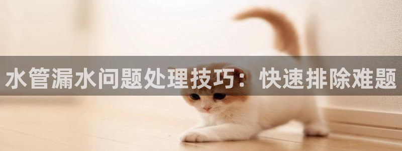 天辰娱乐481928