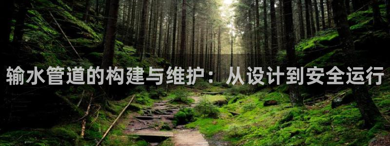 天辰娱乐2