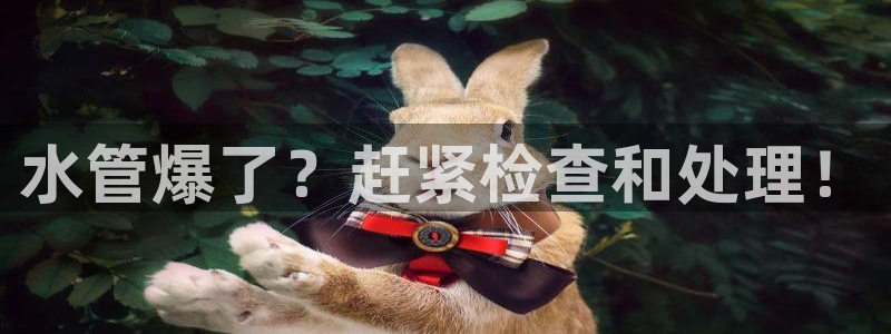 天辰娱乐下载链接