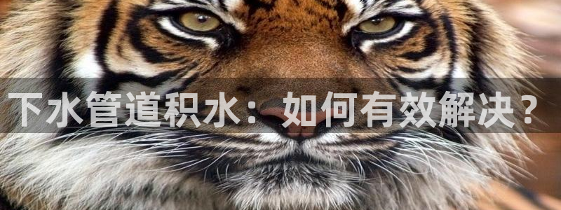 天辰宝娱乐
