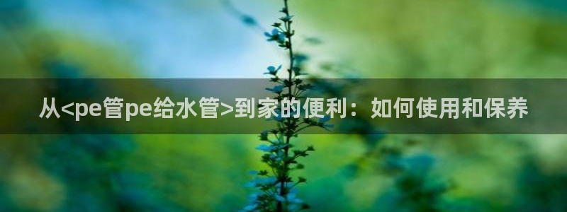 天辰娱乐官网平台下载