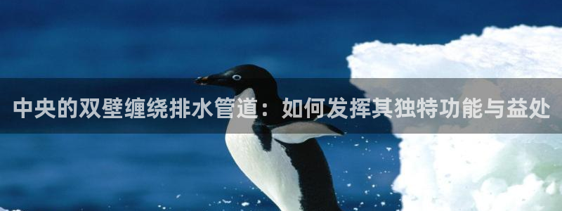 辰天娱乐用品