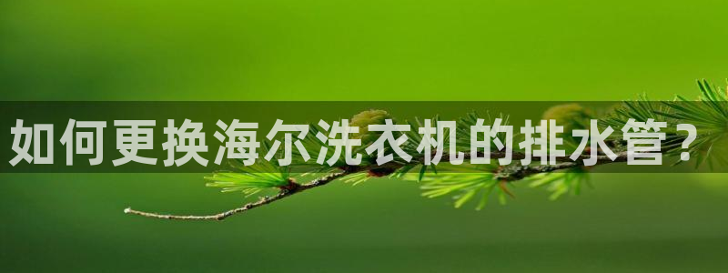 天辰娱乐总管年薪