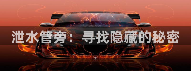 天辰娱乐官网平台入口