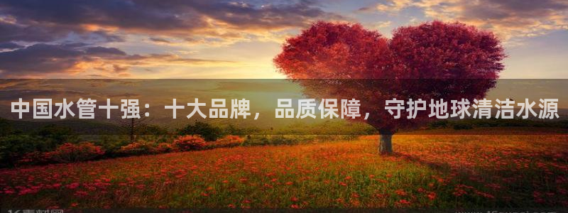 天辰娱乐平台登录账号