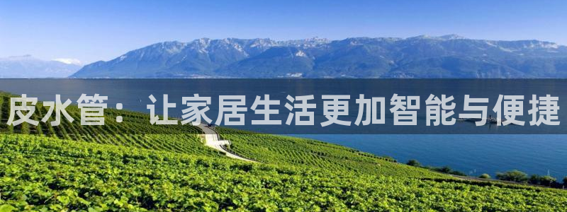 天辰娱乐 . 鱼刺