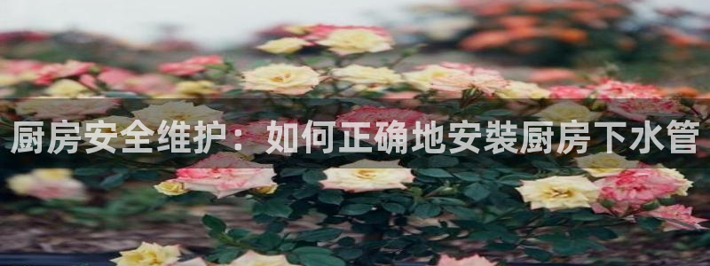 天辰娱乐平台地址在哪里