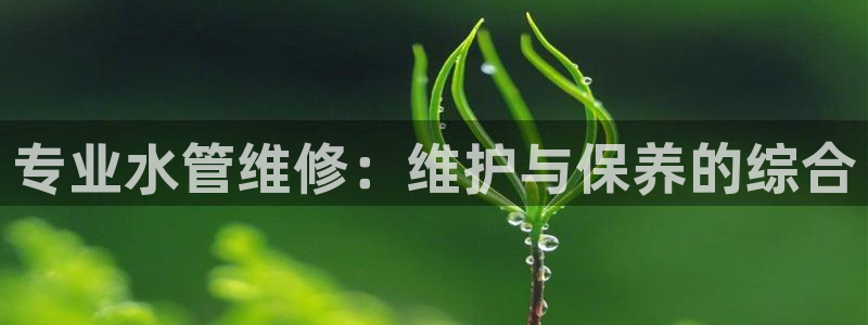 天辰 娱乐 注册