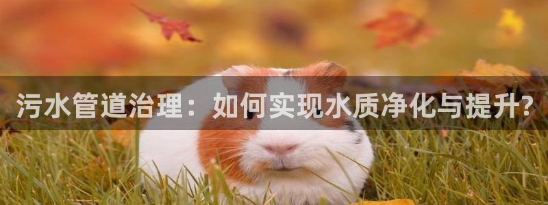 菲律宾天辰娱乐