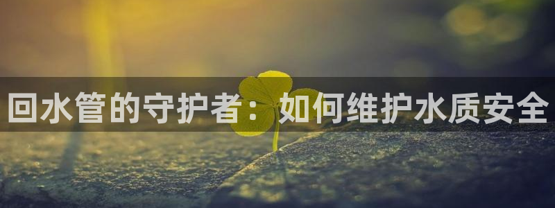 天辰团队贝高娱乐