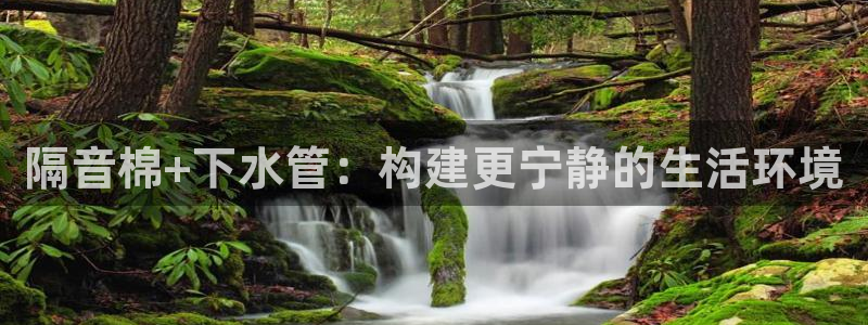 天辰宝娱乐