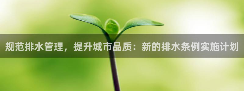 天辰团队贝高娱乐