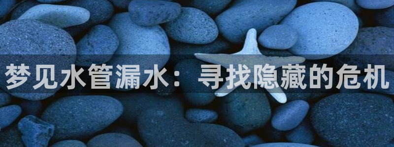 天辰娱乐在线