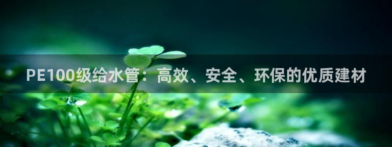 天辰娱乐61116