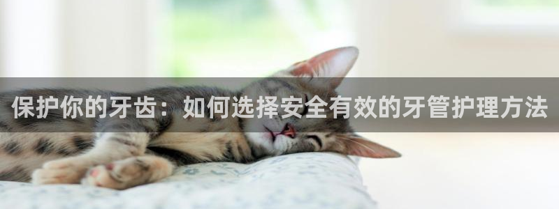 天辰娱乐 728567