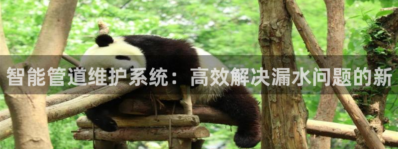 天辰娱乐指尖所