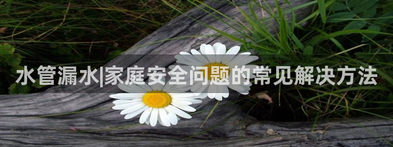天辰娱乐39974神