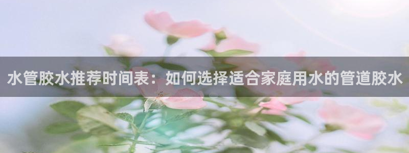 辰天娱乐用品