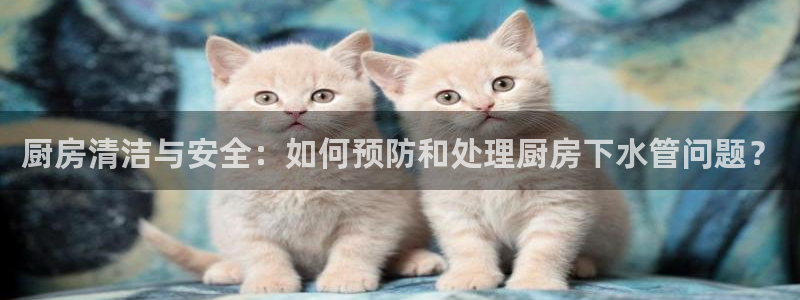 天辰 娱乐