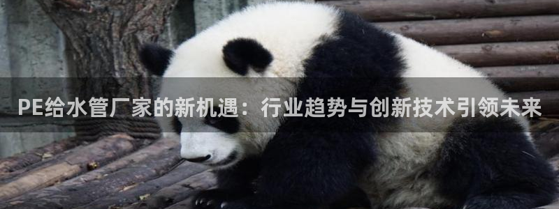 天辰娱乐老板